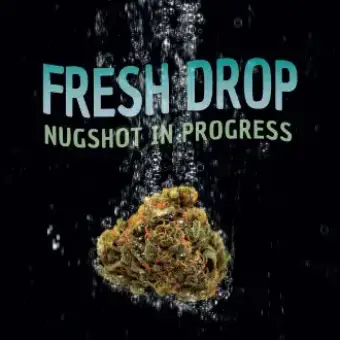 Girl Scout Cookies Pre Rolls